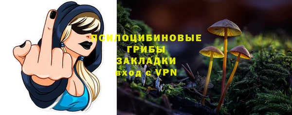 молекула духа Алексин